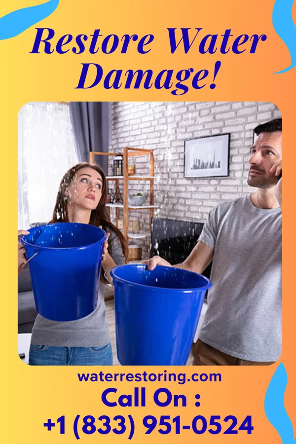 water restoration Shield Flood Cleanup Experts New Boston