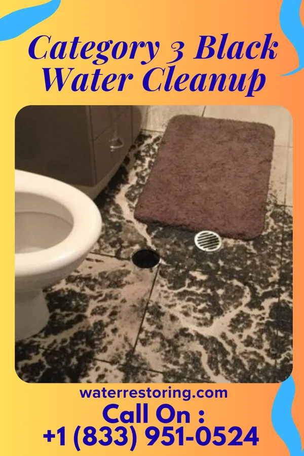 Category 3 Black Water Cleanup in New Boston, OH