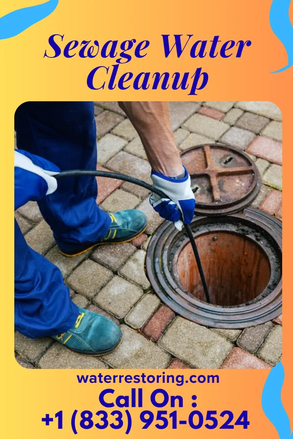Sewage Water Cleanup in New Boston, OH
