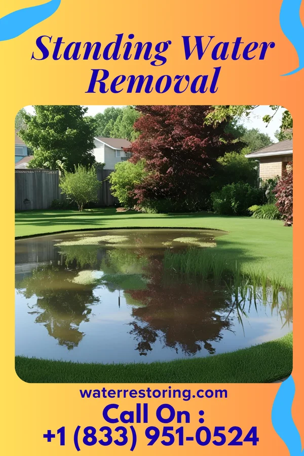 Standing Water Removal in New Boston, OH